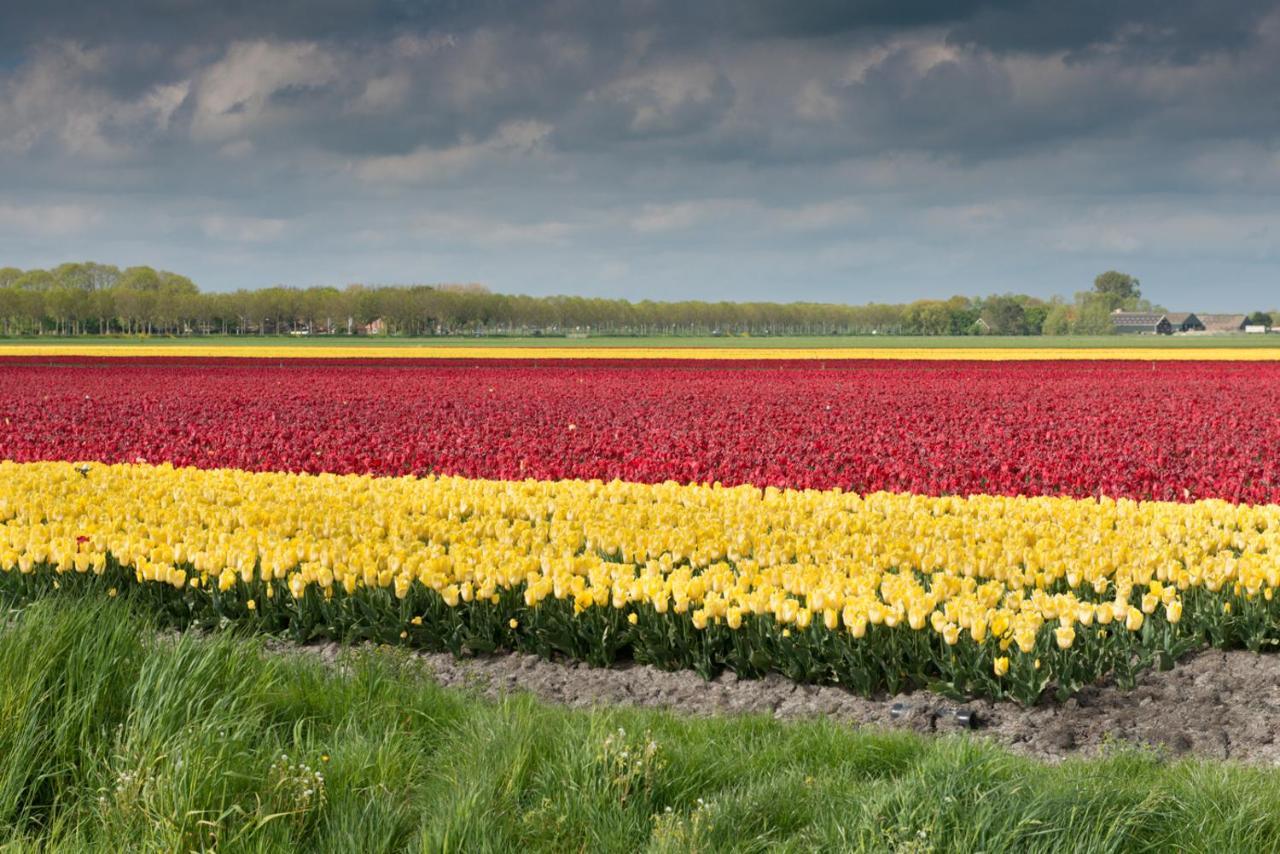 Buitenplaats Langewijk Zuidoostbeemster ภายนอก รูปภาพ